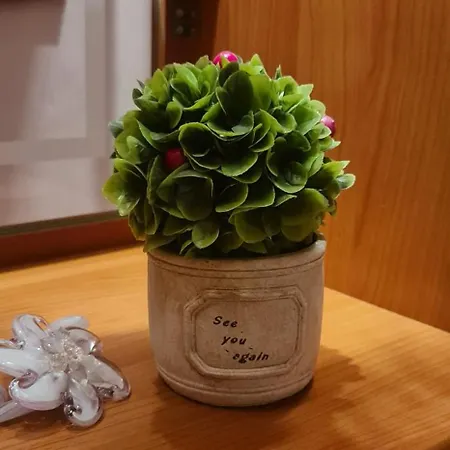 The Bloom Veranda - Elegant Center Retreat Apartamento Tirana