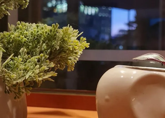 شقة The Bloom Veranda - Elegant Center Retreat *