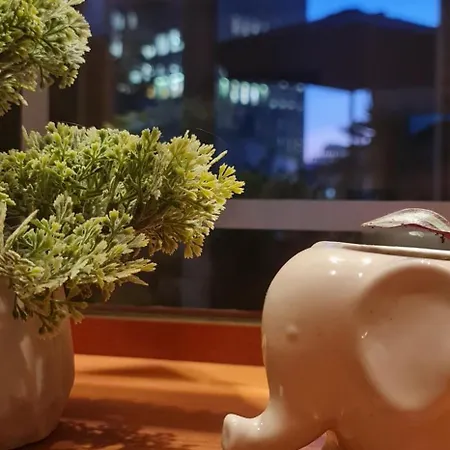 Apartment The Bloom Veranda - Elegant Center Retreat *