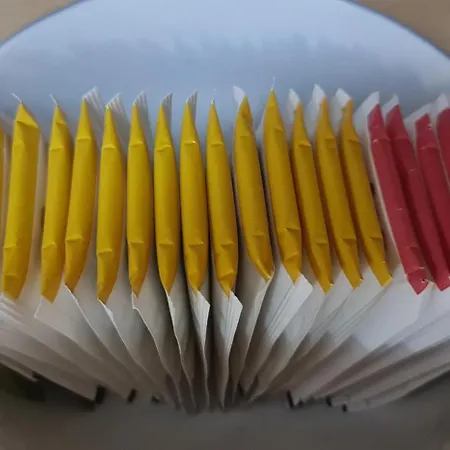 The Bloom Veranda - Elegant Center Retreat Apartment