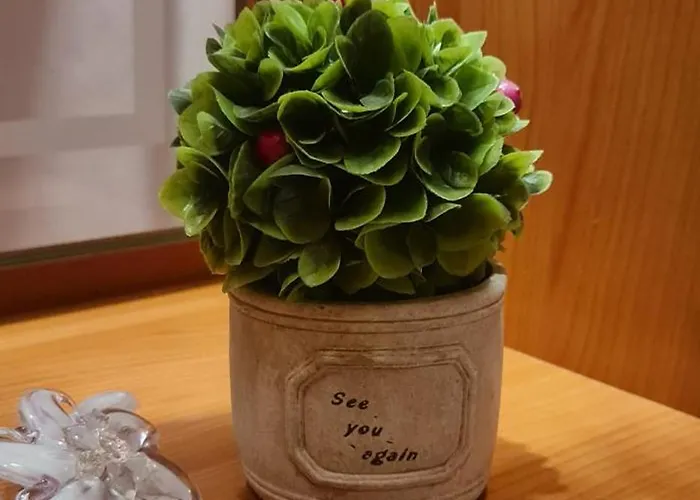 The Bloom Veranda - Elegant Center Retreat Apartment Tirana